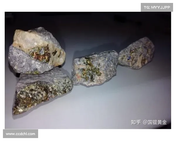 全球金矿石资源分布格局与主要开采地区空间联系研究 全球金矿石资源分布格局与主要开采地区空间联系研究