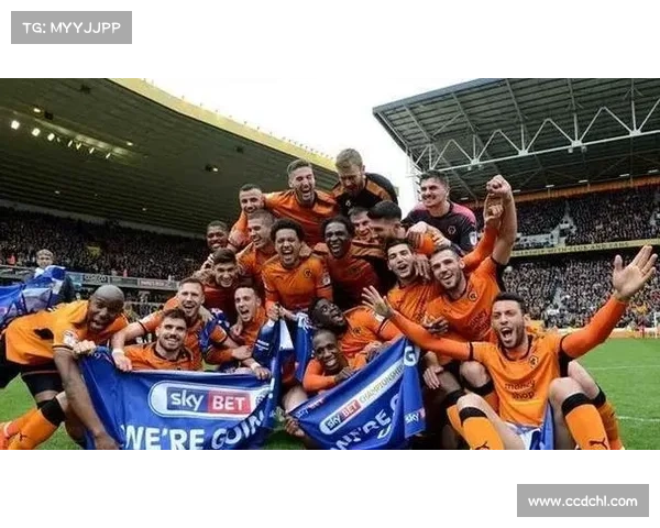 全面深入揭秘葡萄牙国家足球队正式名称历史起源与文化背景解析指南 全面深入揭秘葡萄牙国家足球队正式名称历史起源与文化背景解析指南